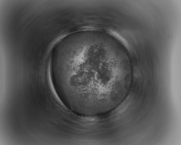 X0000092231411200709141057