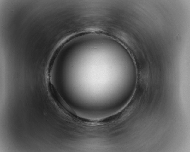 X0000092231412200709141057