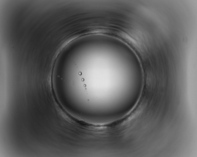 X0000092231417200709141057