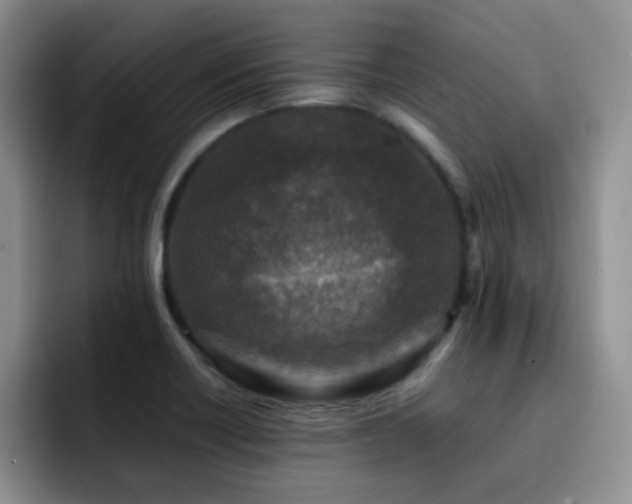 X0000092231418200709141057