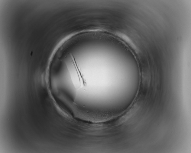 X0000092231421200709141057