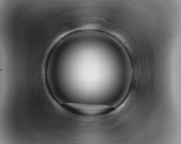 X0000092231422200709141057