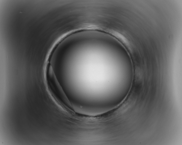 X0000092231424200709141057