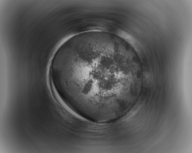 X0000092231427200709141057