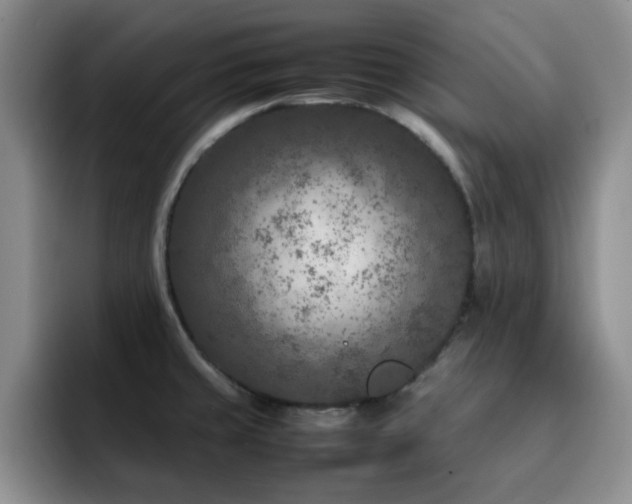 X0000092231429200709141057