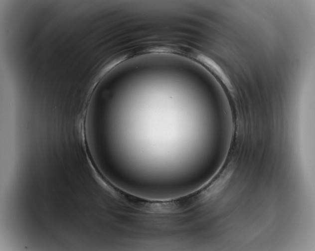 X0000092231433200709141057