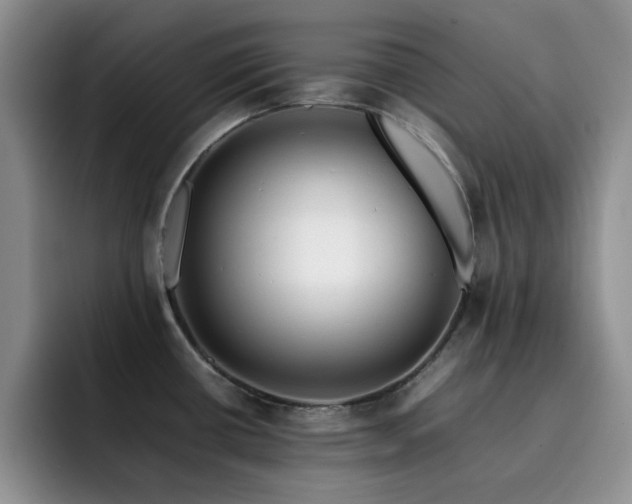 X0000092231434200709141057