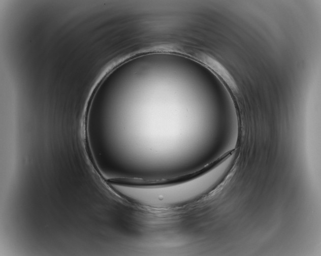 X0000092231436200709141057