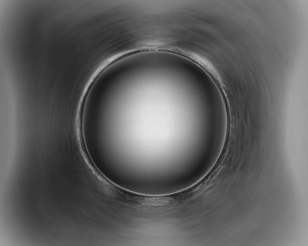 X0000092231440200709141057