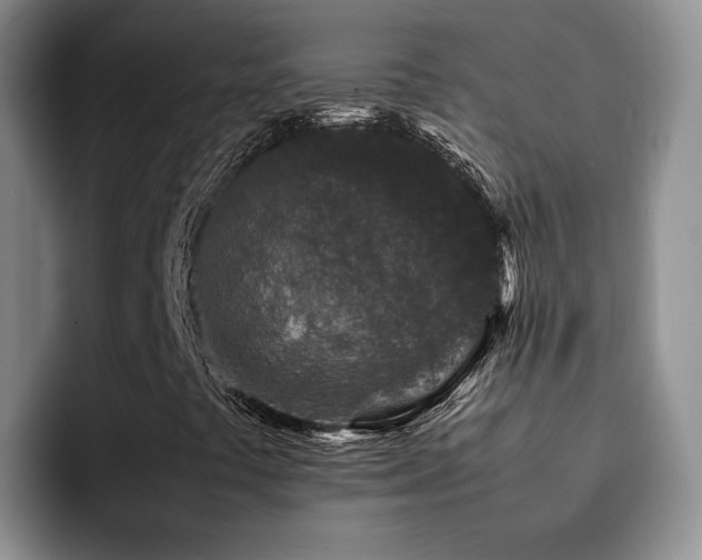 X0000092231441200709141057