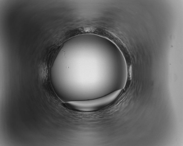 X0000092231443200709141057