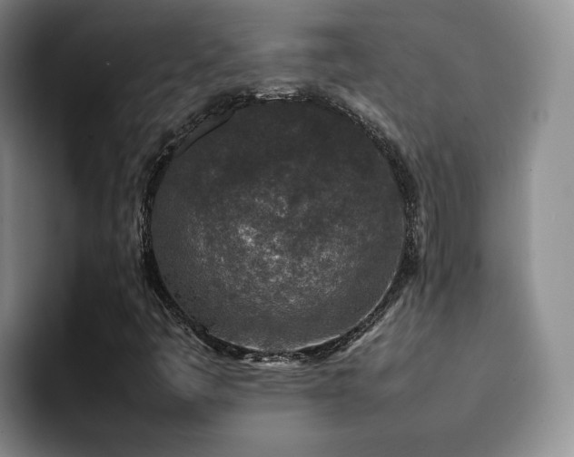 X0000092231445200709141057