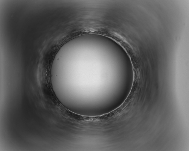 X0000092231446200709141057