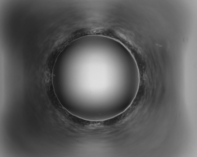 X0000092231447200709141057