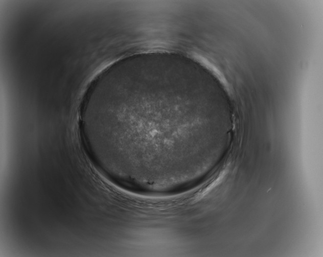 X0000092231453200709141057
