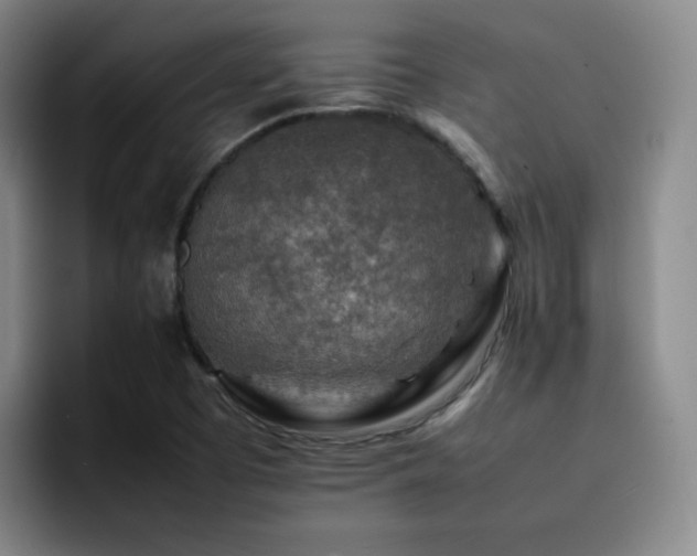 X0000092231457200709141057
