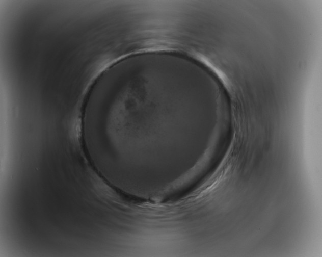 X0000092231459200709141057