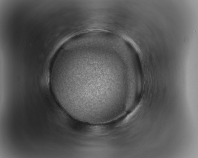 X0000092231461200709141057