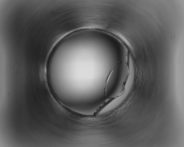 X0000092231468200709141056