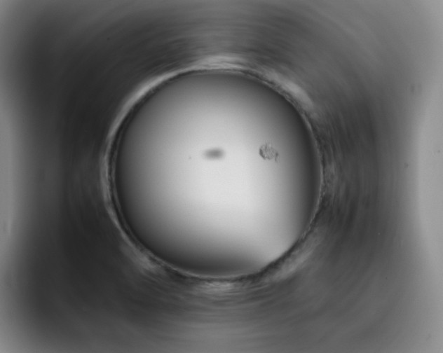 X0000092231470200709141056