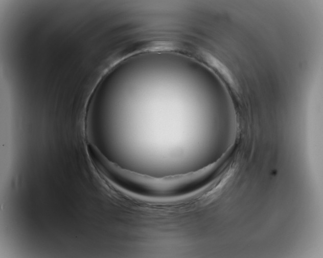 X0000092231473200709141056