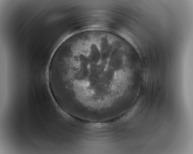 X0000092231474200709141056