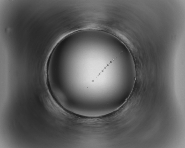 X0000092231479200709141056