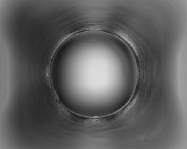 X0000092231481200709141056