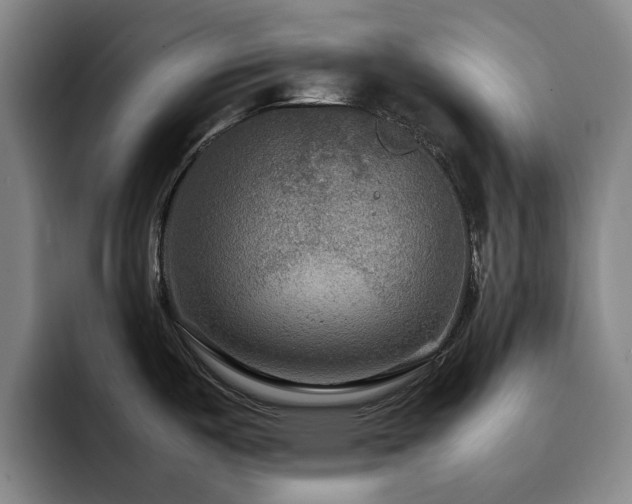X0000092231487200709141056