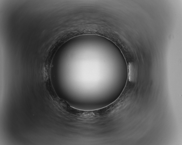 X0000092231491200709141056