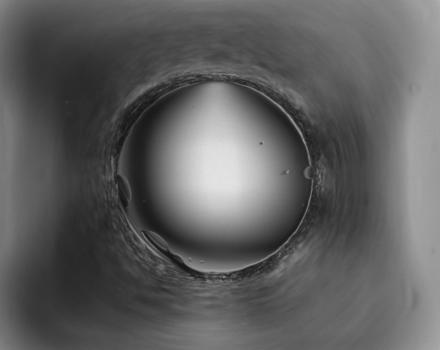 X0000092231494200709141056