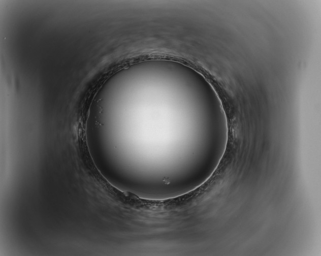 X0000092231495200709141056