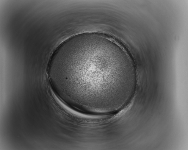 X0000092231497200709141056