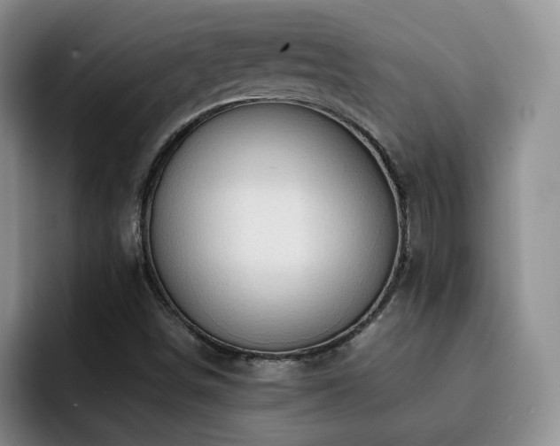 X0000092231498200709141056