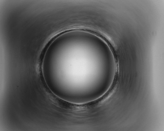 X0000092231501200709141056