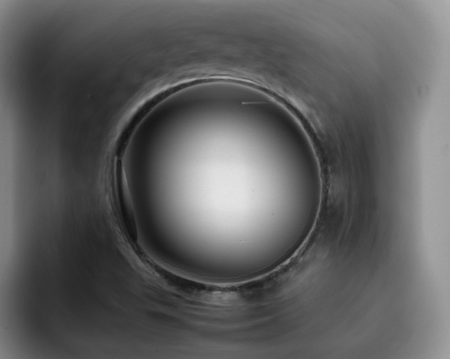 X0000092231503200709141056