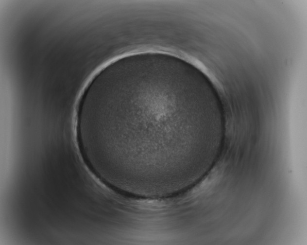 X0000092231508200709141056