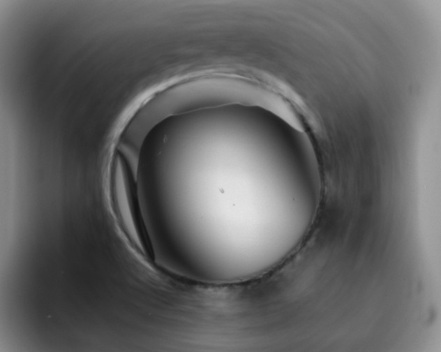 X0000092231512200709141056