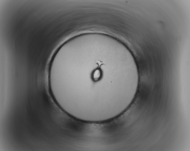 X0000092231514200709141056