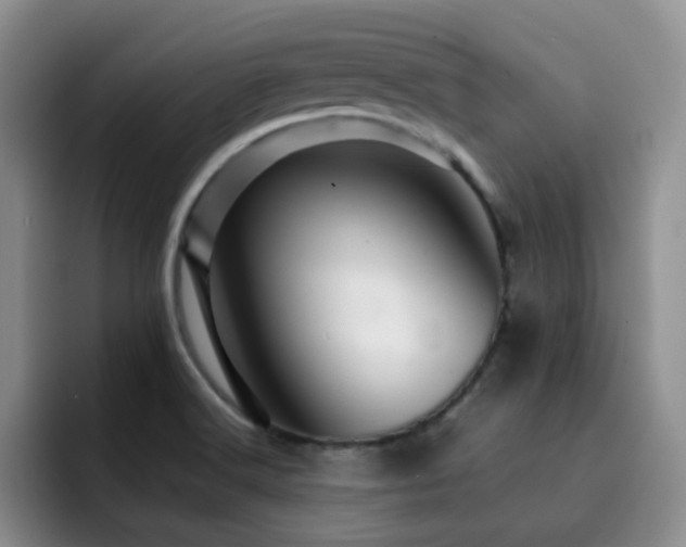 X0000092231516200709141056