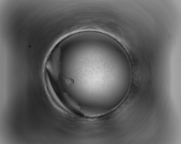 X0000092231519200709141056