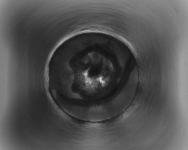 X0000092231522200709141056