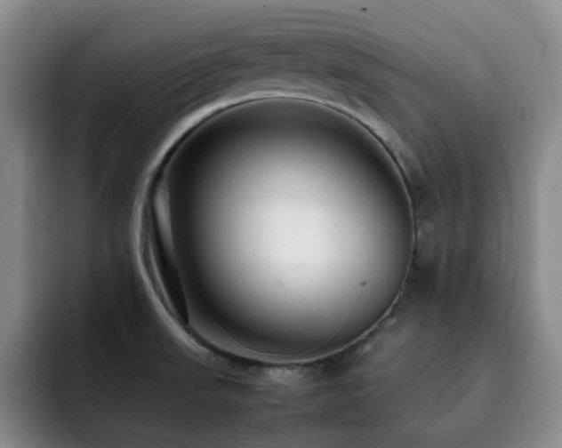 X0000092231523200709141056