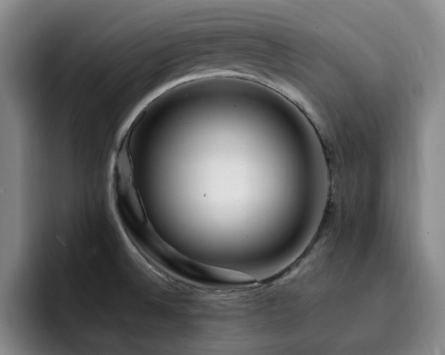X0000092231524200709141056