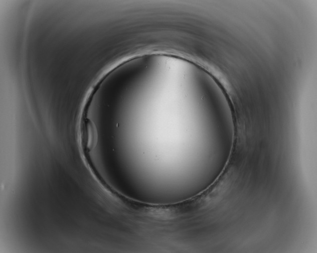 X0000092231525200709141056