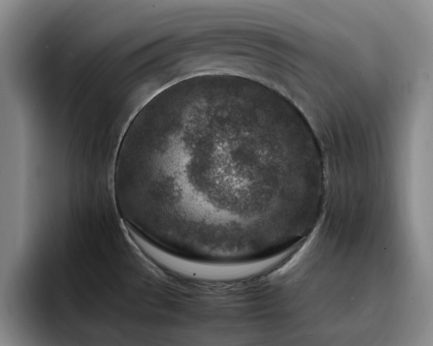 X0000092231529200709141056