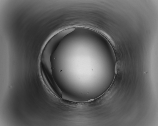 X0000092231530200709141056