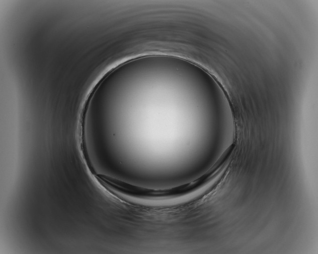 X0000092231531200709141056