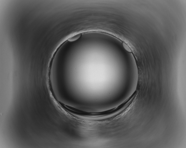 X0000092231534200709141056