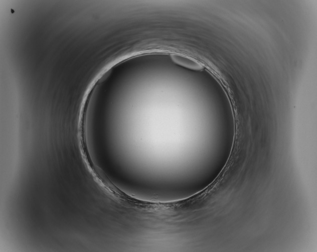 X0000092231536200709141056